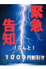 ★ゲリラ割引★ 
