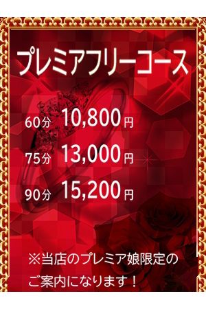 プレミアフリーコース