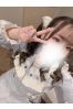べりーサムネイル2