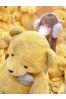 美咲　翠サムネイル4