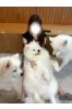 九条るのサムネイル3