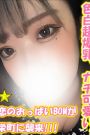 ひまわり