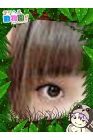 こあらのはづき