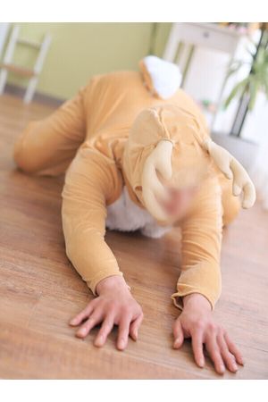 シカ1