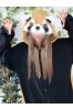 アライグマサムネイル1