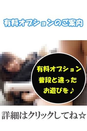 有料オプション