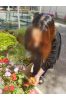 平良サムネイル3