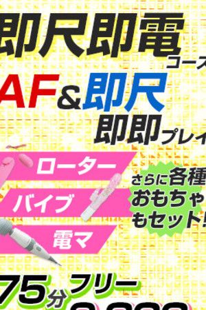 即尺・即電コース