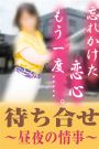 待合せプラン
