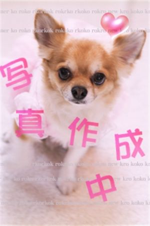 しやん3