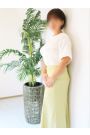 こずえ