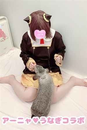 あーにゃ2