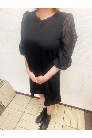 ともみ1