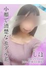 しほ