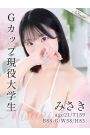 みさき