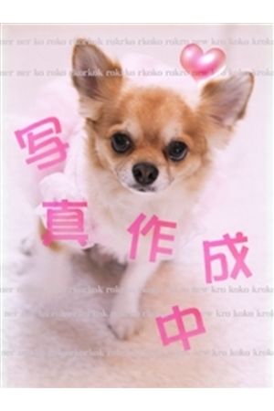 2/15面接!体入