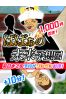 ばばあの未来予想図サムネイル1