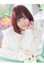 しのぶ