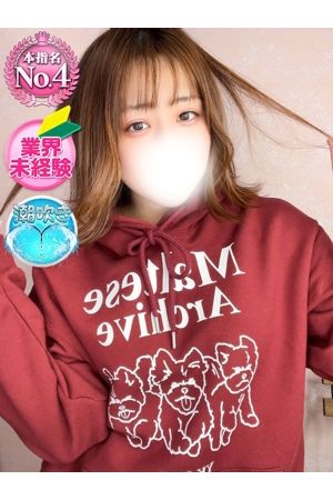 あおい1