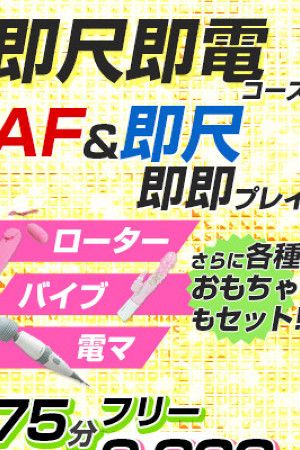 即尺・即電コース