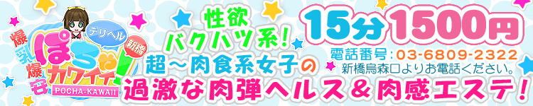 新橋デリヘルぽちゃカワイイ！