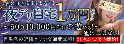 メンテジュニア
