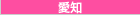 愛知のデリヘル割引クーポン情報