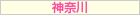 神奈川の激安な風俗