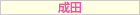 成田激安風俗情報サイト